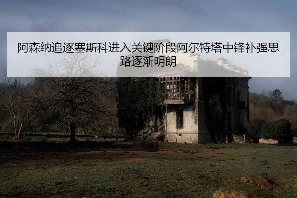 阿森纳追逐塞斯科进入关键阶段阿尔特塔中锋补强思路逐渐明朗