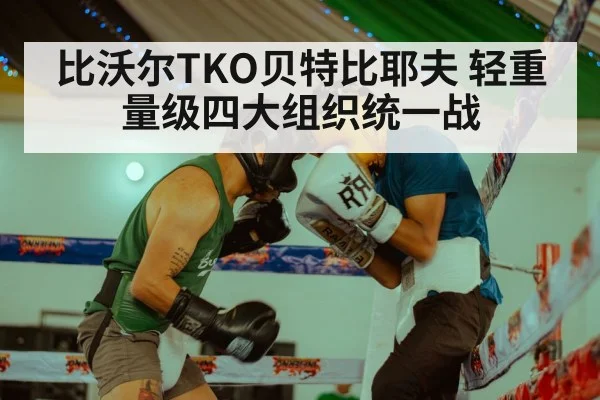 比沃尔TKO贝特比耶夫 轻重量级四大组织统一战